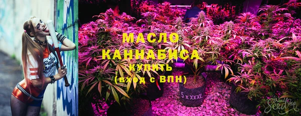 молекула духа Бронницы