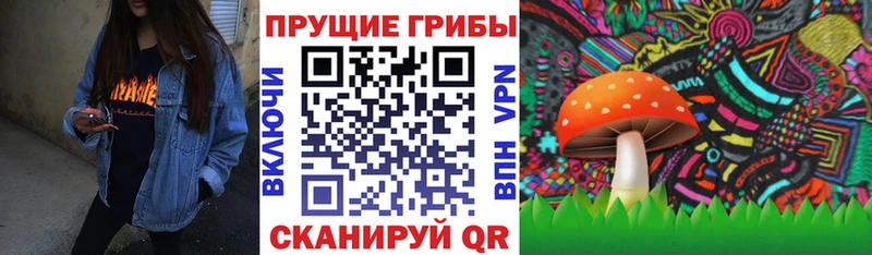 Псилоцибиновые грибы Magic Shrooms Кизляр